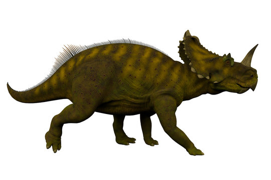 Centrosaurus Side Profile - Centrosaurus was a herbivorous ceratopsian dinosaur that lived in Canada during the Cretaceous Period.