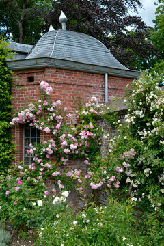 Het 18de eeuwse kasteel Hex in Belgie is bekend om zijn tuinen en rozen met de jaarlijkse rozendagen.