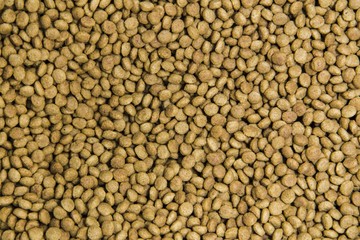 Dry pet food background