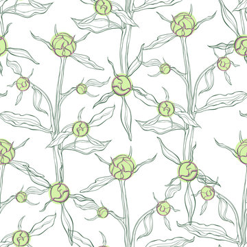Floral seamless pattern  with buds of peony flower.