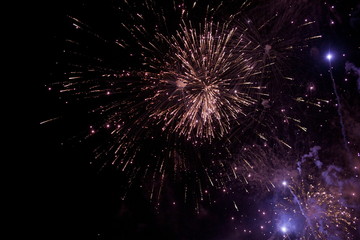 Multicolor Fireworks