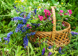 basket with wildflowers