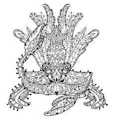 Exotic tropical crab