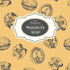 Hand-drawn  vector sketch of walnuts. Seamless nature background. 