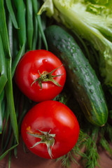 Vegetables from the garden