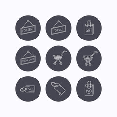 Shopping cart, gift bag and sale coupon icons.