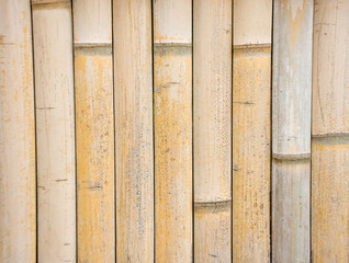 The close up bamboo fence for background