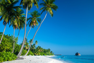 Beaches at Maldives