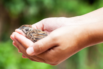 woman holding a dead bird
