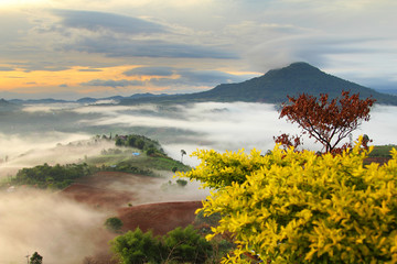 Plakaty  Piękno naturalnego i mglistego środowiska podczas wschodu i zachodu słońca w dystrykcie Khao Kho w prowincji Phetchabun w Tajlandii