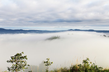 Abstract background of nature and the mist at Khao Kho District ,Phetchabun Province in Thailand