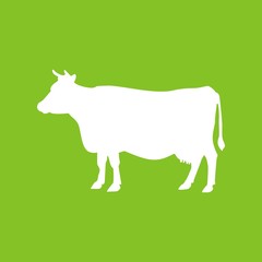 красивая корова