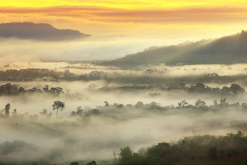 Obraz na płótnie Canvas The beauty of the natural and the mist environment during sunrise and sunset at Khao Kho District ,Phetchabun Province in Thailand