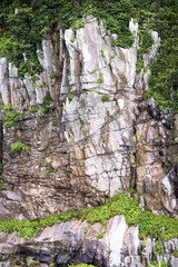 足摺岬岩礁
