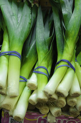 Scallions 