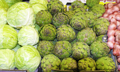 Obraz premium Artichoke