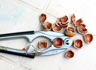 Close up of hazelnuts