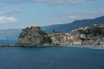 Fototapeta premium Scilla