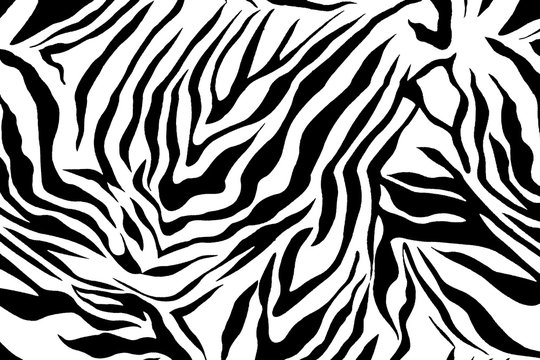 Zebra pattern image