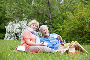 Naklejka na ściany i meble Happy senior couple having a picnic and relaxing outdoor