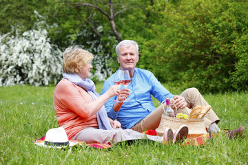 Happy senior couple having a picnic and relaxing outdoor