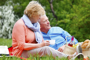 Happy senior couple having a picnic and relaxing outdoor