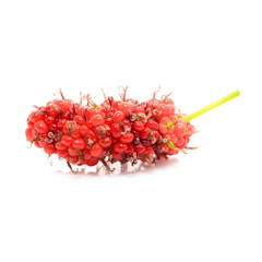 mulberry fruit isolated on white background
