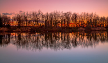 trees reflecting in lake at sunset