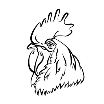 Rooster logo mascot. Isolated rooster head vector illustration.