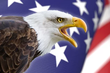 Photo sur Plexiglas Aigle un beau pygargue à tête blanche avec un arrière-plan d& 39 un drapeau américain