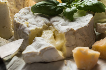 Cheese assorted on a table background. Variety sorts for appetizing, gourmet, delicious snacks. Traditional French dish for wine on lunch and dinner closeup. Camembert, Roquefort.