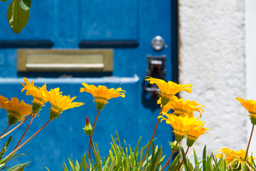 Blue door with yellow flowers - 113592534