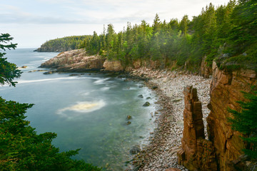 Acadia National Park Coast - obrazy, fototapety, plakaty