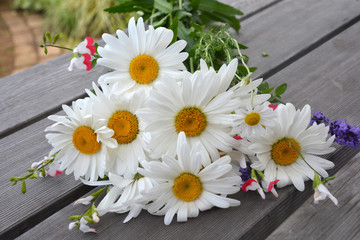 Obraz premium Daisies bouquet