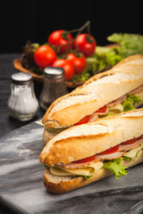 Panini grilled sandwich