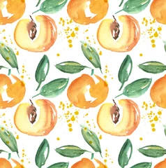 Printed kitchen splashbacks Watercolor fruits watercolor apricot fruit illustration. hand drawn paint image
