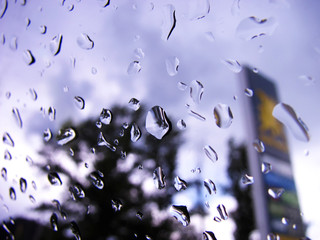 rain drops at an automobile window