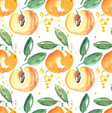 watercolor apricot fruit illustration. hand drawn paint image