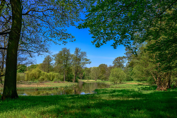Fototapeta na wymiar Teichanlage im historischen Lennépark Blumberg