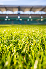 Naklejka premium Green grass at modern stadium during sunny day