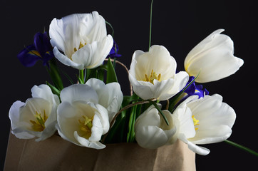 Naklejka na ściany i meble bouquet of a white tulips and blue irises in the paper bag on a
