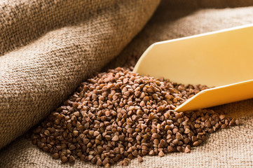 Buckwheat groats in a ladle