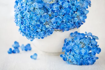Photo sur Plexiglas Hortensia beautiful blue  hydrangea flowers in a vase. vintage style ,grunge paper background. 