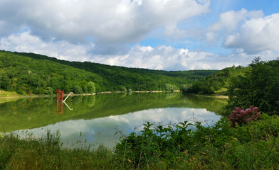 A nature reserve. Lake. Summertime. June. Day light.