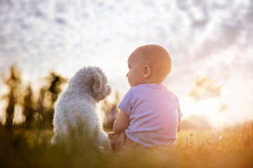Boy and puppy © ivanko80