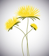 Fototapeta premium vector background with flowers trёmya