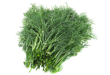 Dill herb on white
