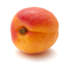 small ripe apricot