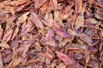 Dried Squid, traditional squids drying in the sun