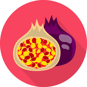 Juicy fig. Colorful flat icon